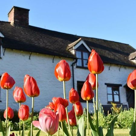 Glencoed B&B Wrexham Kültér fotó