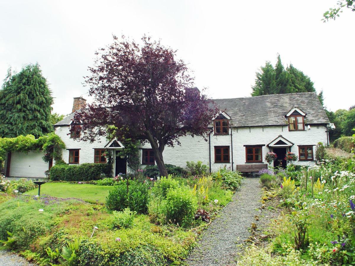 Glencoed B&B Wrexham Kültér fotó