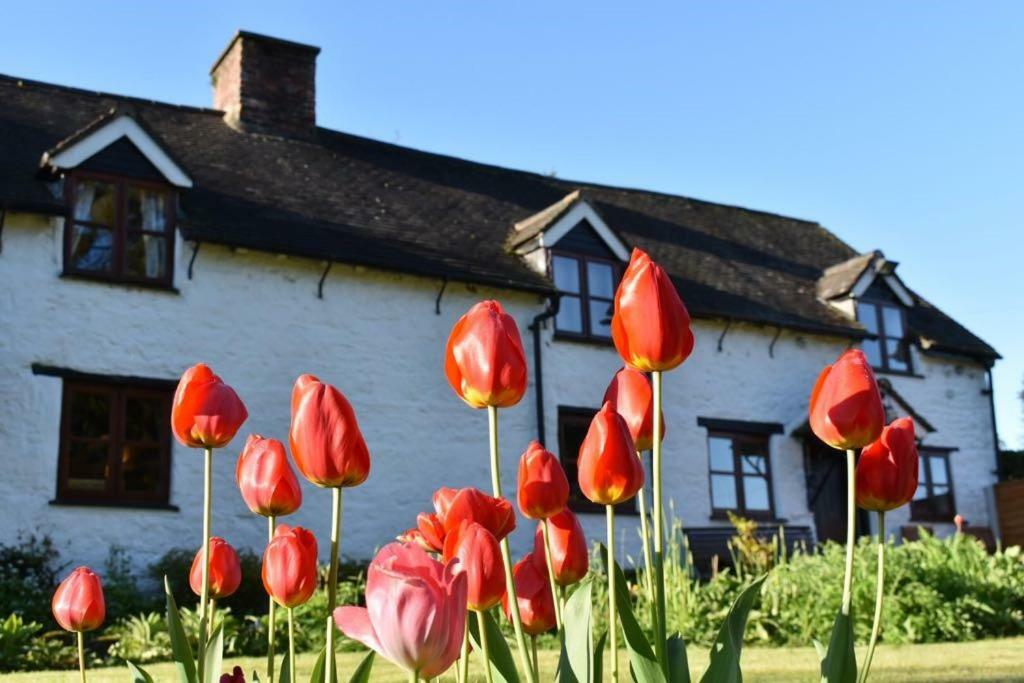 Glencoed B&B Wrexham Kültér fotó
